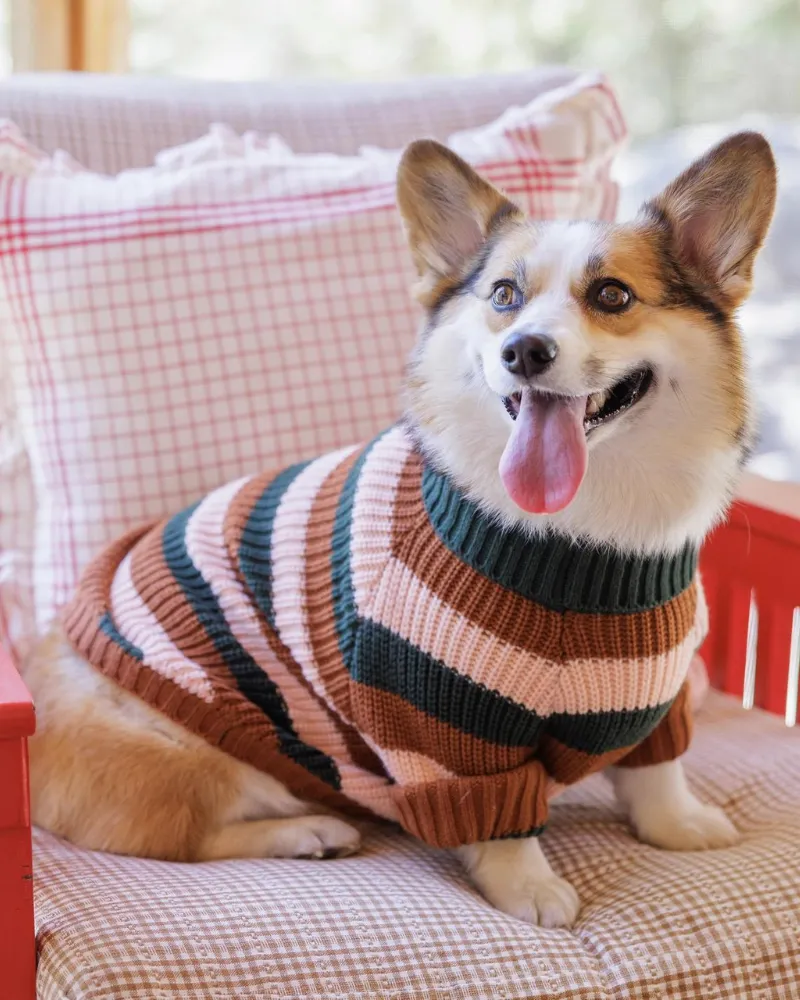 Bold Stripe Dog Sweater