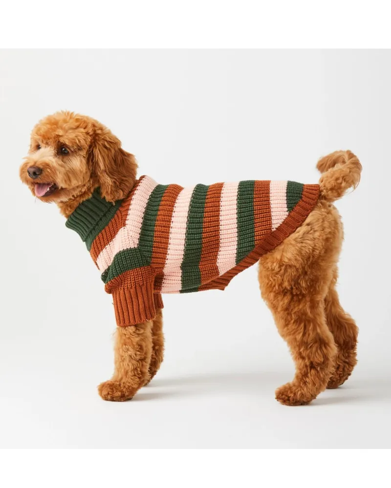 Bold Stripe Dog Sweater