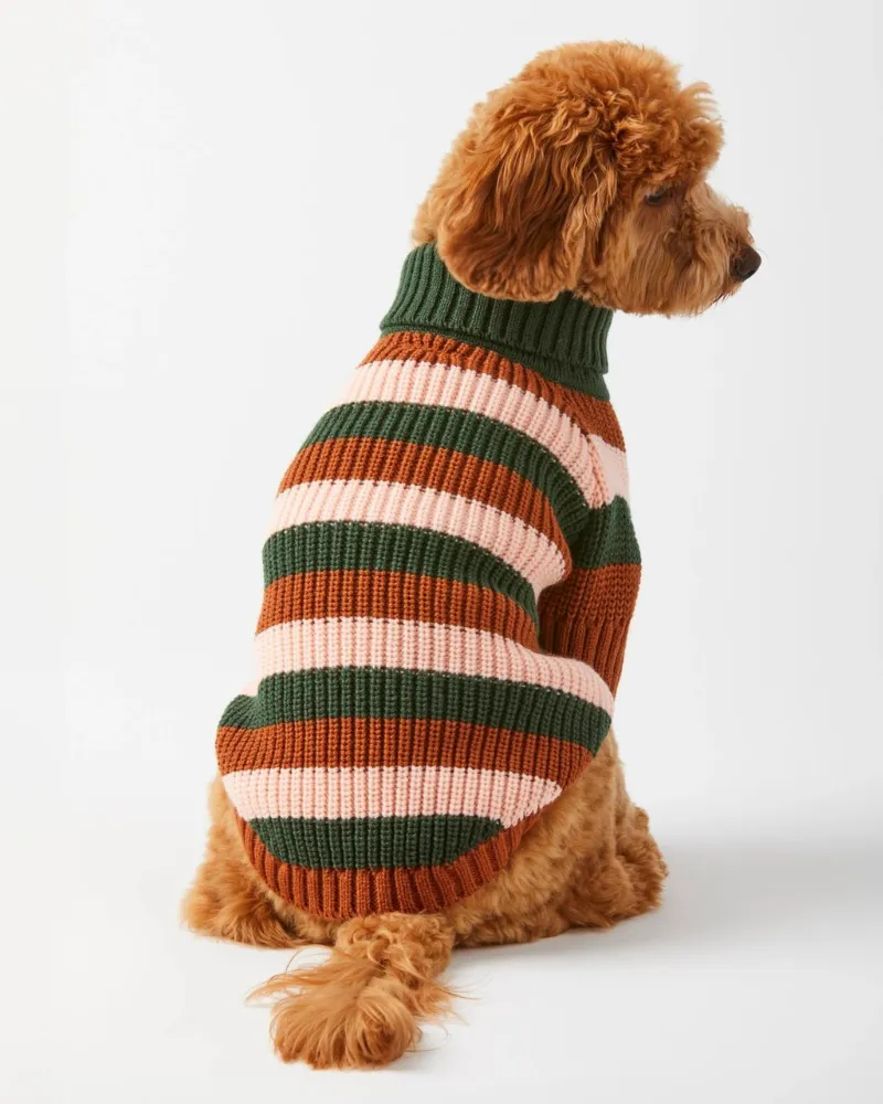 Bold Stripe Dog Sweater